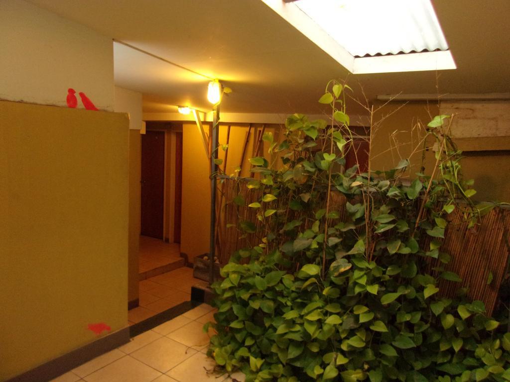 Amasoho Bed And Breakfast - Buenos Aires — Photos 3